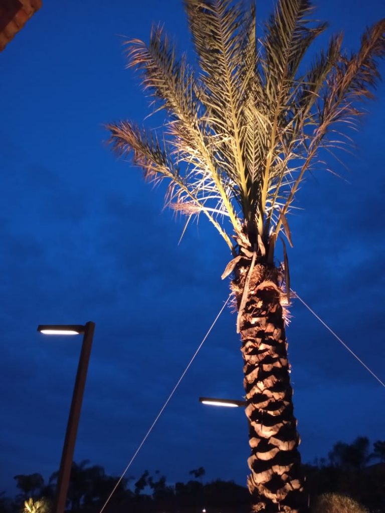 iluminação-refletores